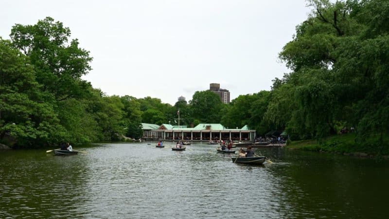 New York's Top Pet Friendly Attraction: Central Park