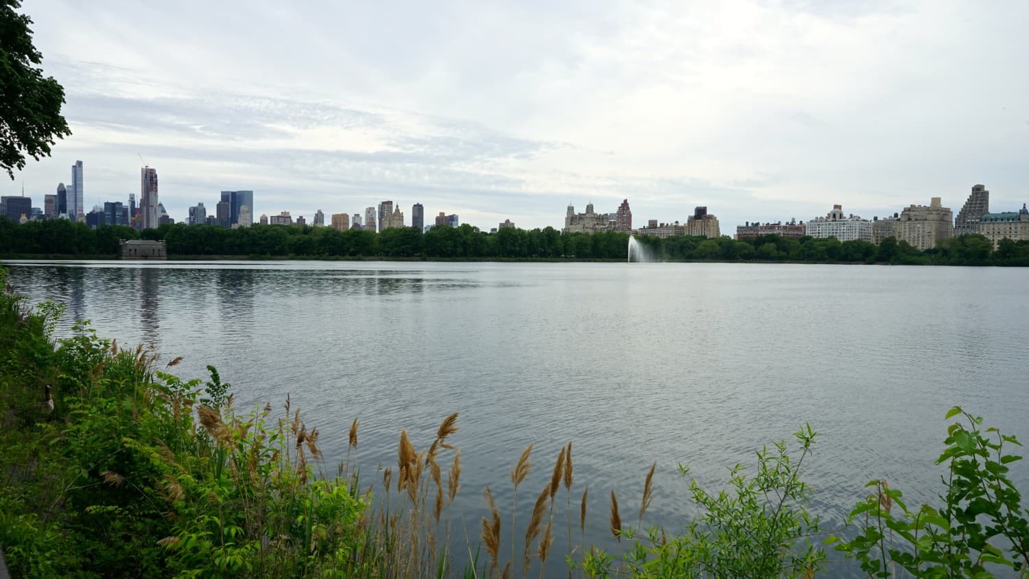 New York's Top Pet Friendly Attraction: Central Park