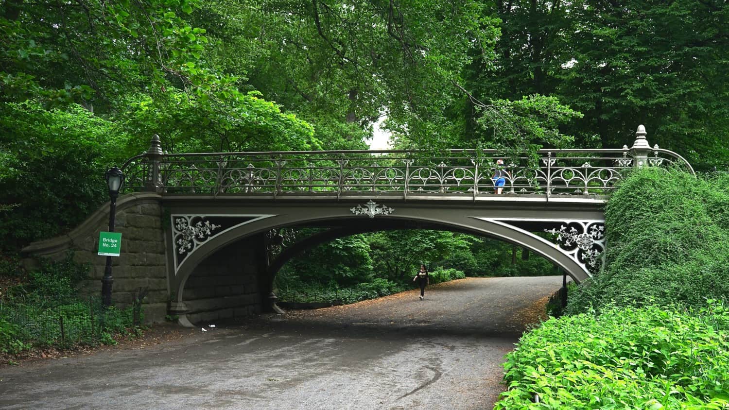 New York's Top Pet Friendly Attraction: Central Park