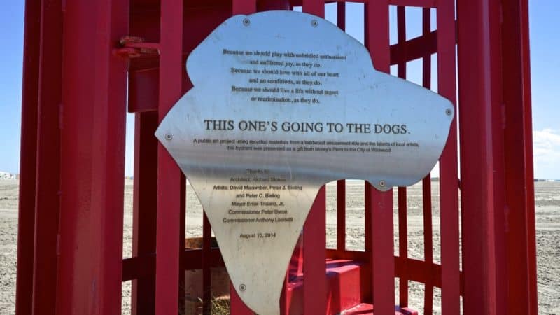 New Jersey's Top Pet Friendly Attraction: Wildwood Dog Beach | GoPetFriendly.com