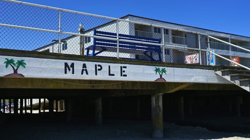 New Jersey's Top Pet Friendly Attraction: Wildwood Dog Beach | GoPetFriendly.com