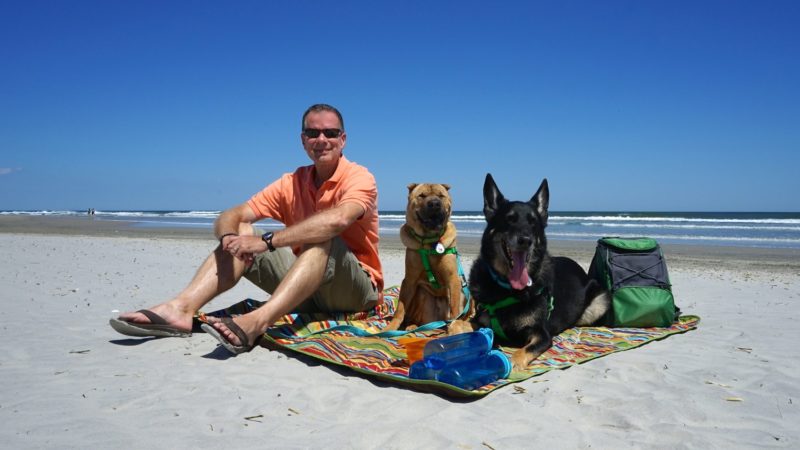 New Jersey's Top Pet Friendly Attraction: Wildwood Dog Beach | GoPetFriendly.com