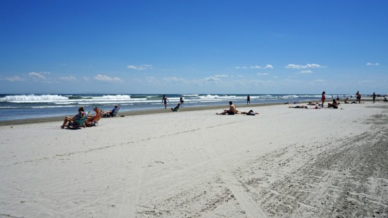 New Jersey's Top Pet Friendly Attraction: Wildwood Dog Beach | GoPetFriendly.com