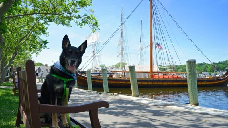 Connecticut's Top Pet Friendly Attraction: Mystic Seaport | GoPetFriendly.com