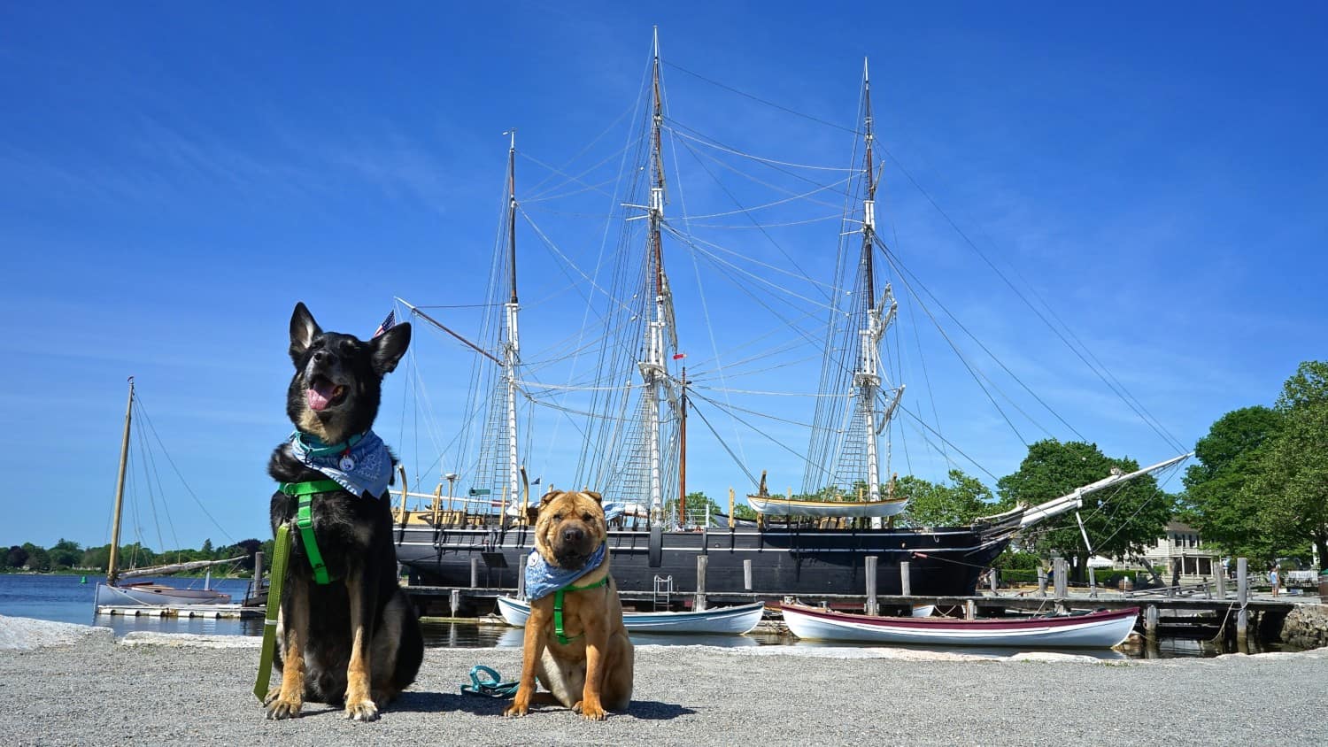 Connecticut's Top Pet Friendly Attraction: Mystic Seaport | GoPetFriendly.com