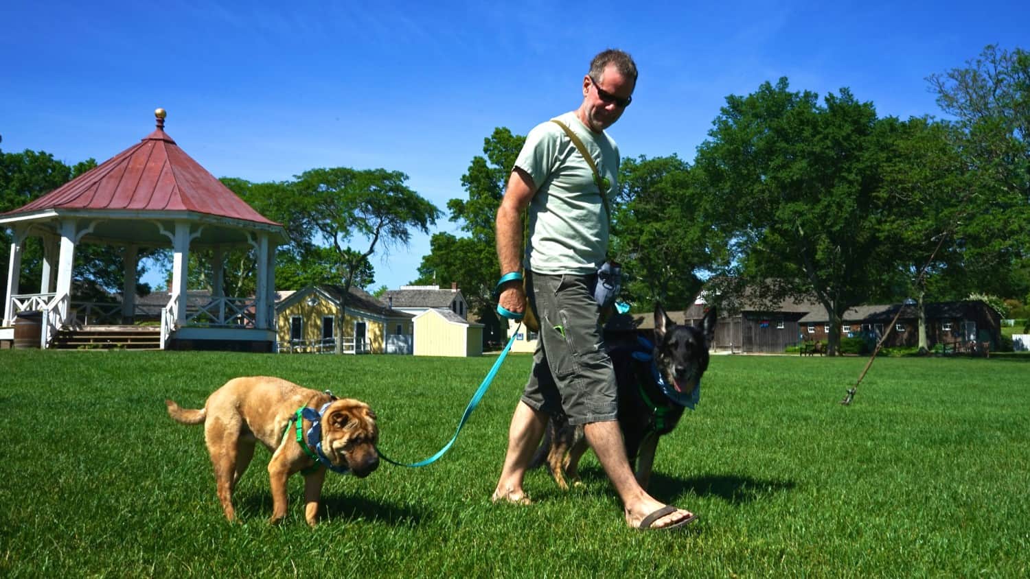 Connecticut's Top Pet Friendly Attraction: Mystic Seaport | GoPetFriendly.com