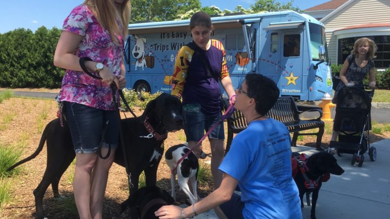 Connecticut's Top Pet Friendly Attraction: Mystic Seaport | GoPetFriendly.com