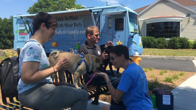 Connecticut's Top Pet Friendly Attraction: Mystic Seaport | GoPetFriendly.com