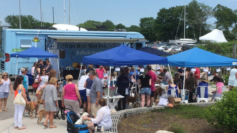 Connecticut's Top Pet Friendly Attraction: Mystic Seaport | GoPetFriendly.com