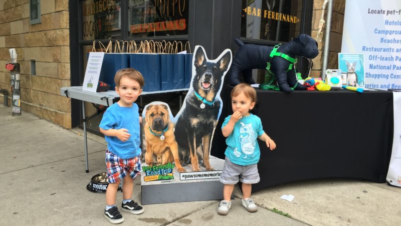 New Jersey's Top Pet Friendly Attraction: Wildwood Dog Beach | GoPetFriendly.com