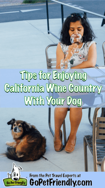 Woman drinking wine with a dog laying at her feet