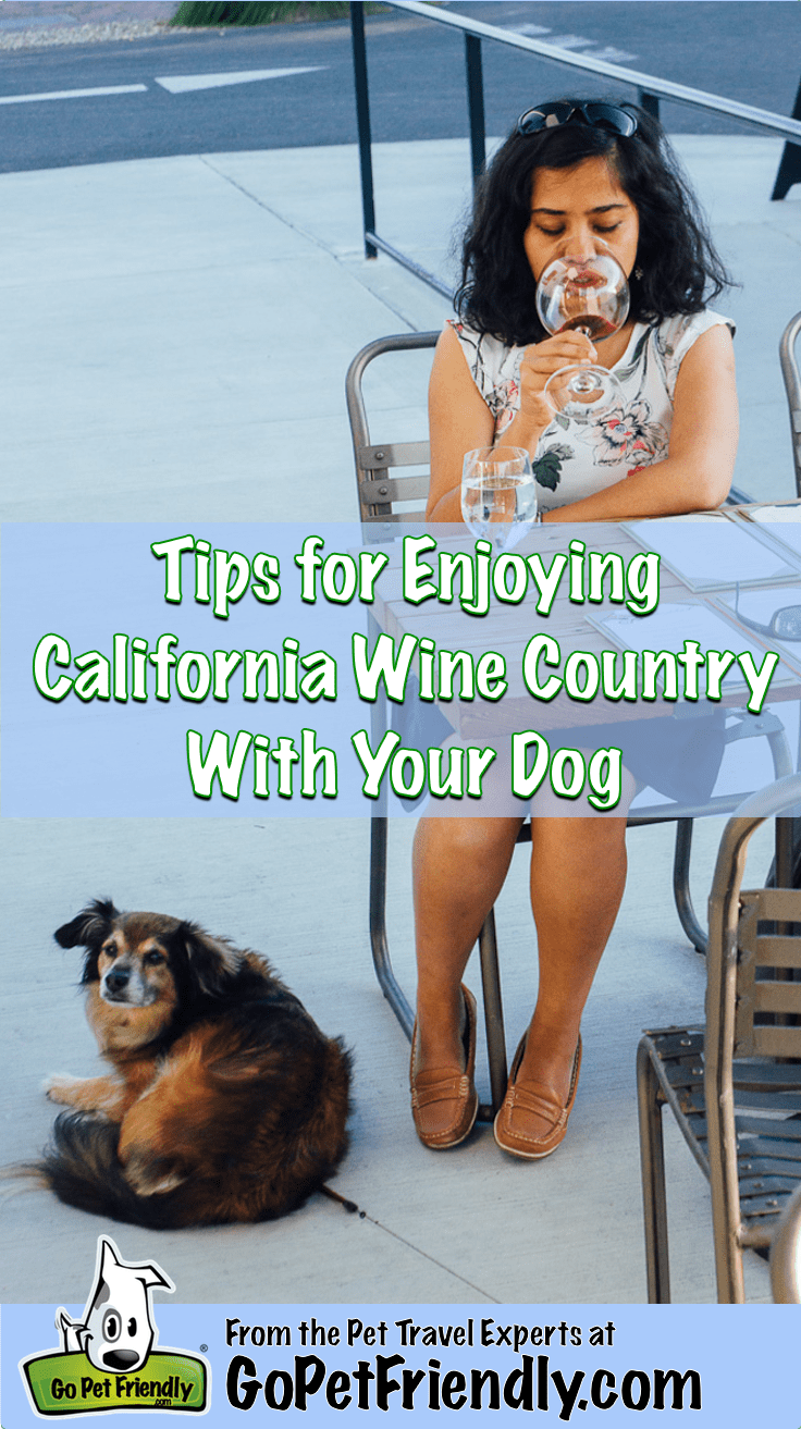 Tips For Enjoying Wine Country With Your Dog