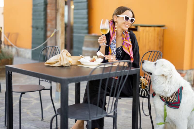 Woman tasting cheese and wine sitting with her dog in wine country