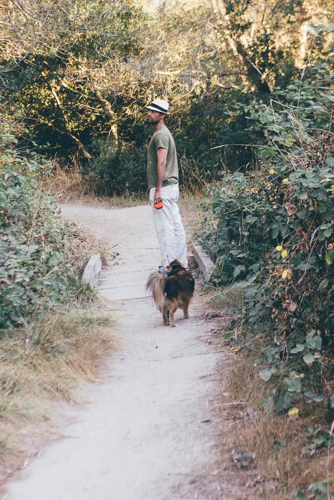 Tips for Enjoying California's Wine Country with Your Dog | GoPetFriendly.com