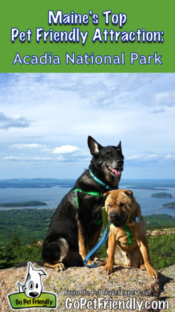 Maine's Top Pet Friendly Attraction: Acadia National Park | GoPetFriendly.com