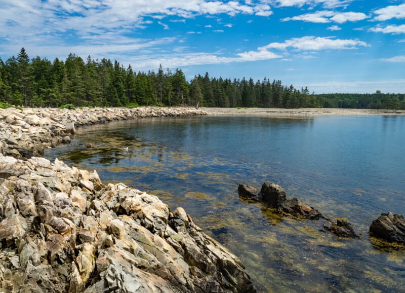 Trees surround a cove in the Schoodic Peninsula in the Acadia National Park in Maine