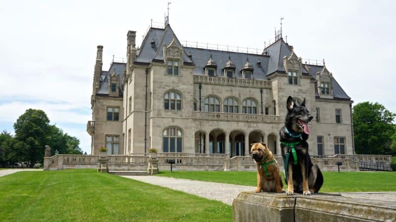 Rhode Island's Top Pet Friendly Attraction: Newport Cliff Walk | GoPetFriendly.com