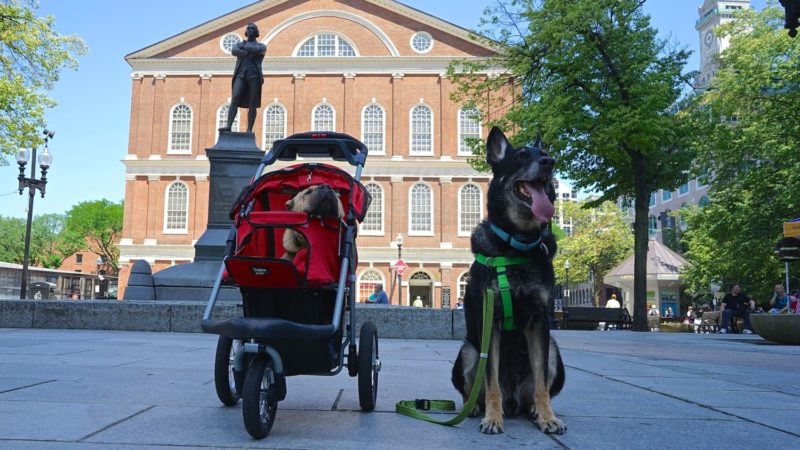 Massachusetts' Top Pet Friendly Attraction: Boston's Freedom Trail | GoPetFriendly.com