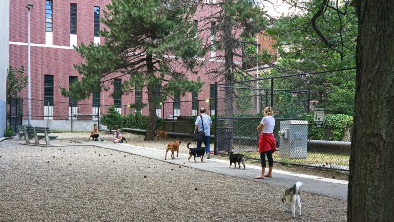 Massachusetts' Top Pet Friendly Attraction: Boston's Freedom Trail | GoPetFriendly.com