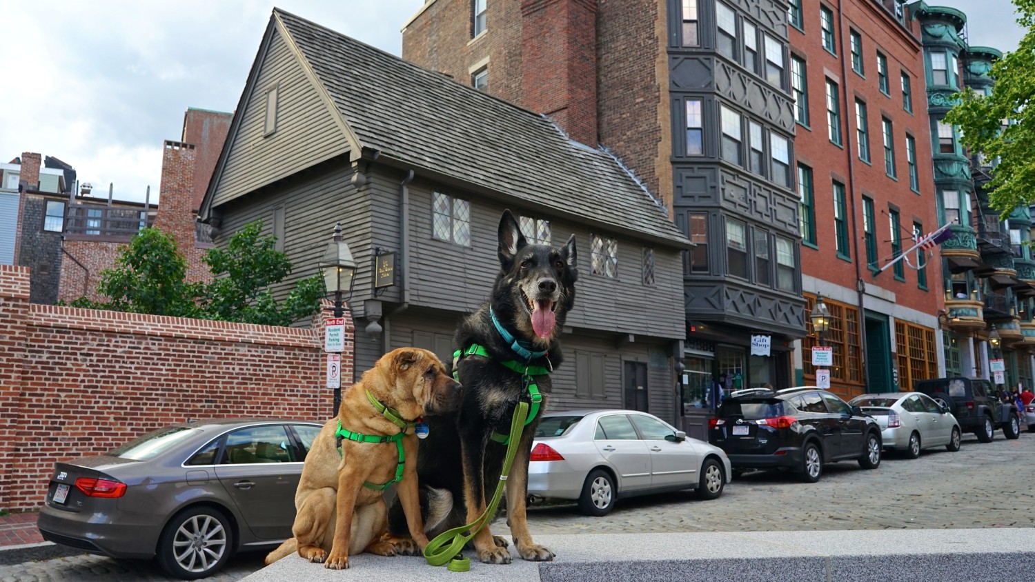 Massachusetts' Top Pet Friendly Attraction: Boston's Freedom Trail | GoPetFriendly.com