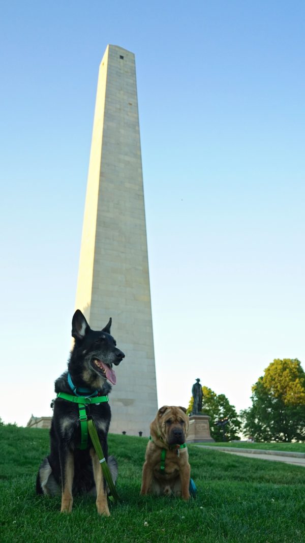 Massachusetts' Top Pet Friendly Attraction: Boston's Freedom Trail | GoPetFriendly.com