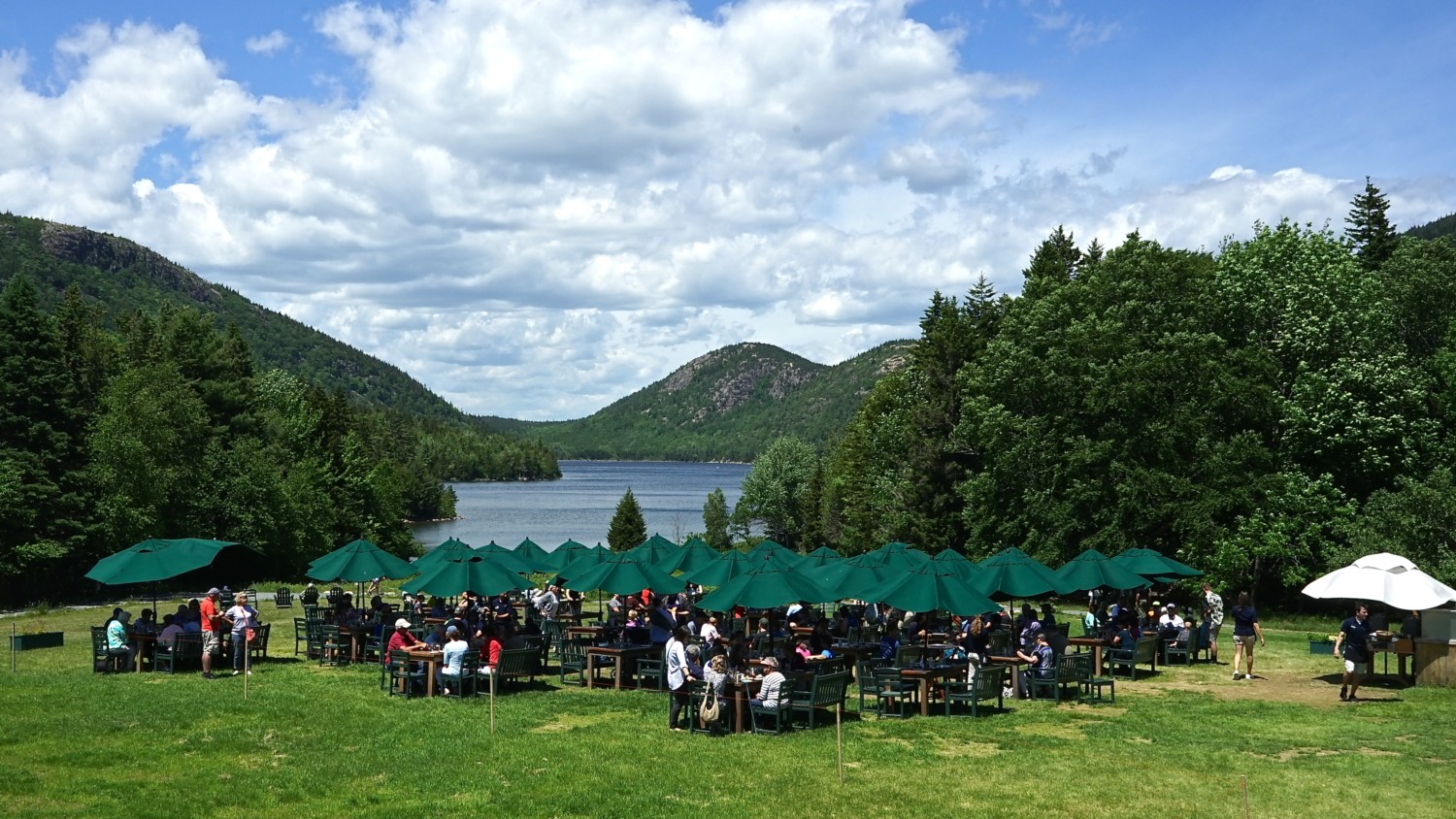 Maine's Top Pet Friendly Attraction: Acadia National Park | GoPetFriendly.com