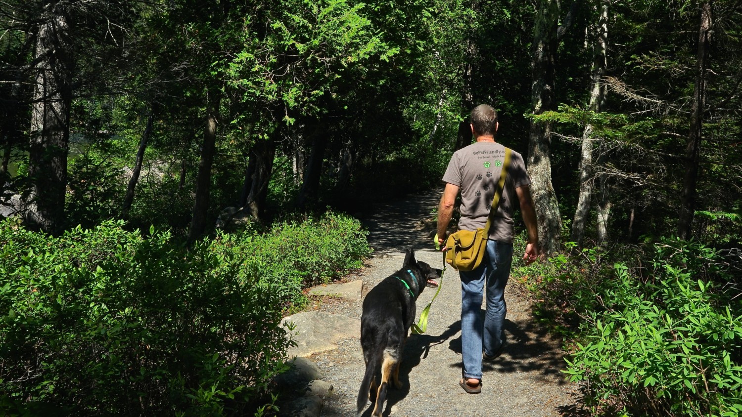 Maine's Top Pet Friendly Attraction: Acadia National Park | GoPetFriendly.com