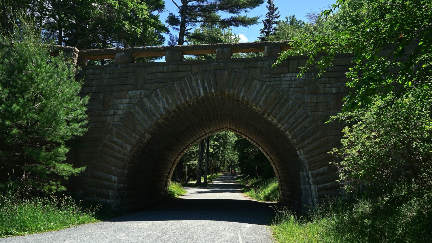 Maine's Top Pet Friendly Attraction: Acadia National Park | GoPetFriendly.com