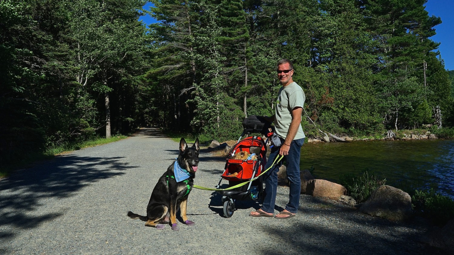 Maine's Top Pet Friendly Attraction: Acadia National Park | GoPetFriendly.com