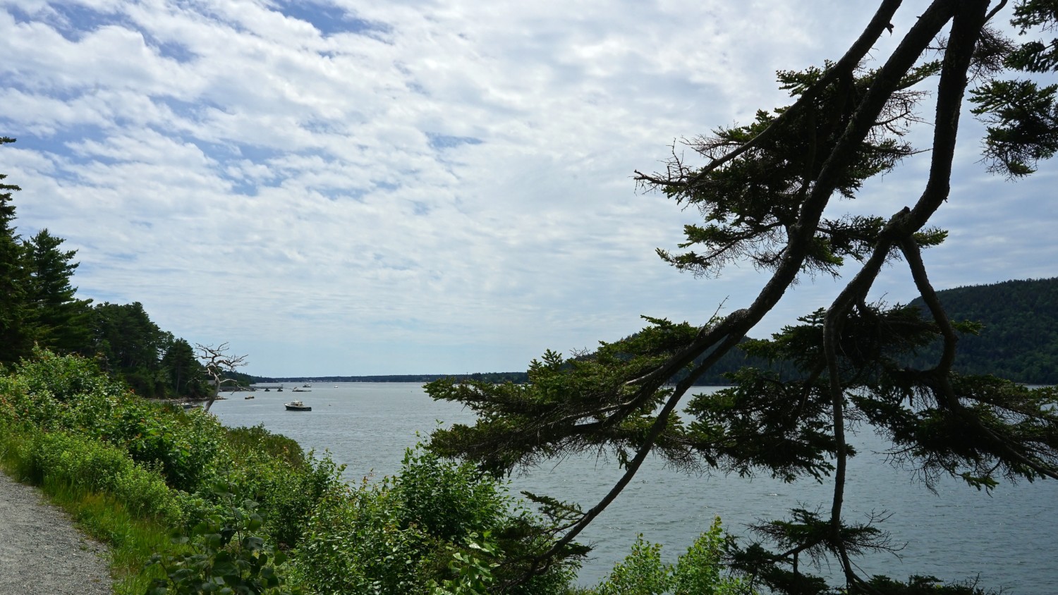 Maine's Top Pet Friendly Attraction: Acadia National Park | GoPetFriendly.com