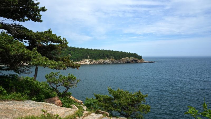 Maine's Top Pet Friendly Attraction: Acadia National Park | GoPetFriendly.com