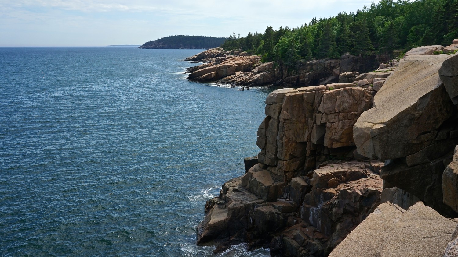 Maine's Top Pet Friendly Attraction: Acadia National Park | GoPetFriendly.com