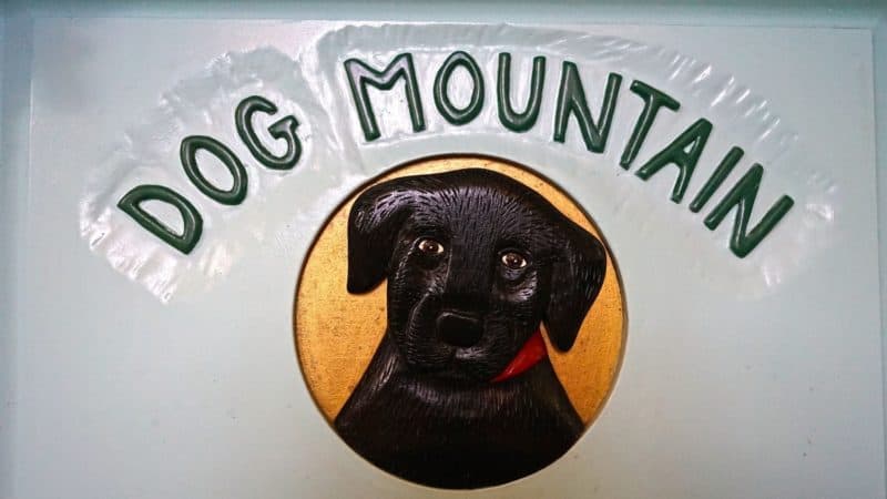 Vermont's Top Pet Friendly Attraction: Dog Mountain | GoPetFriendly.com