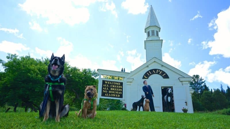 Vermont's Top Pet Friendly Attraction: Dog Mountain | GoPetFriendly.com