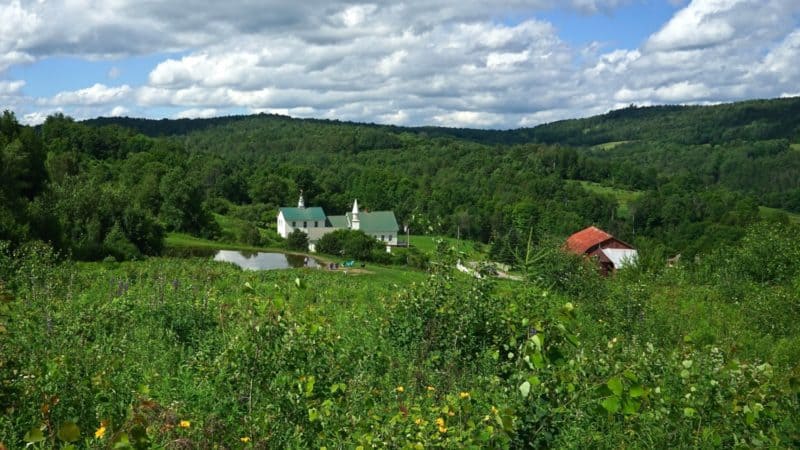 Vermont's Top Pet Friendly Attraction: Dog Mountain | GoPetFriendly.com