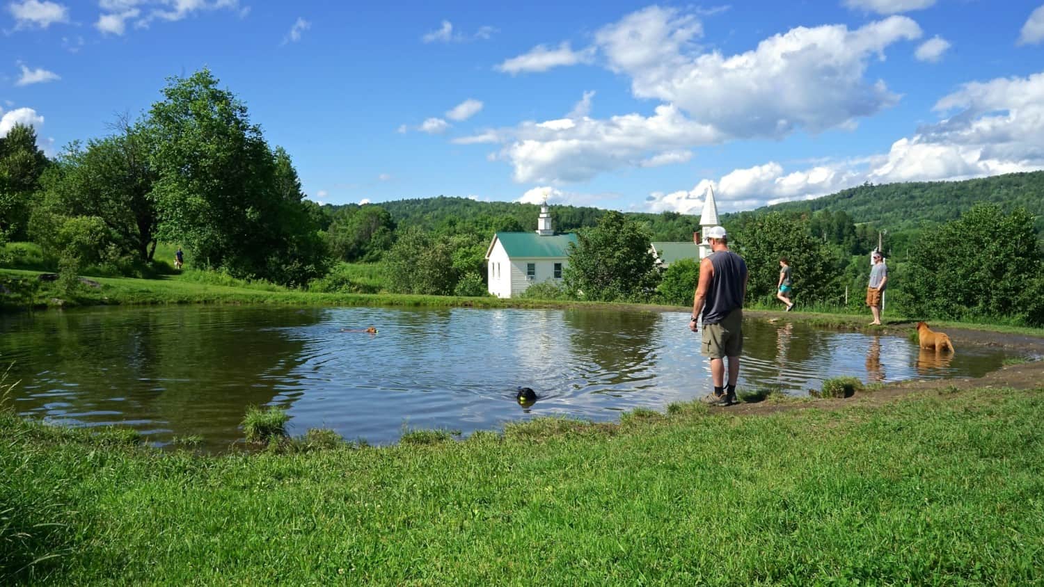 Vermont's Top Pet Friendly Attraction: Dog Mountain | GoPetFriendly.com