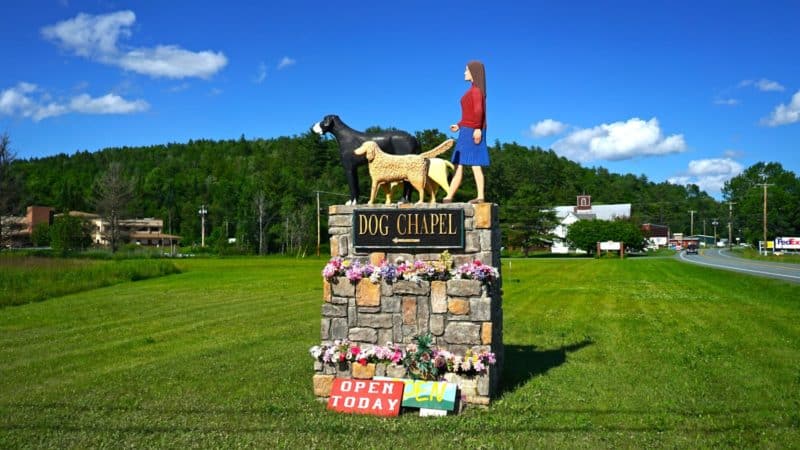 Vermont's Top Pet Friendly Attraction: Dog Mountain | GoPetFriendly.com