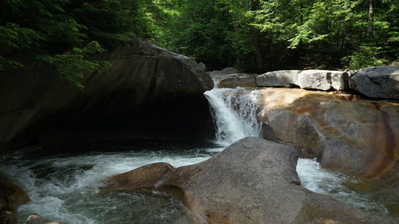 New Hampshire's Top Pet Friendly Attraction: Mount Washington | GoPetFriendly.com