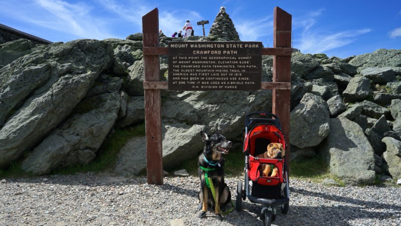 New Hampshire's Top Pet Friendly Attraction: Mount Washington | GoPetFriendly.com