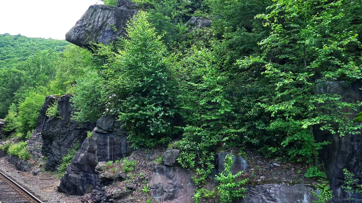 Scenery along the Lehigh Gorge Scenic Railway in Jim Thorpe, PA