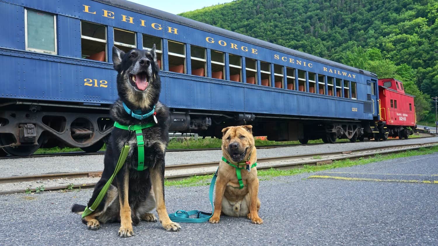 Pennsylvania's Top Pet Friendly Attraction: Lehigh Gorge Scenic Railway | GoPetFriendly.com