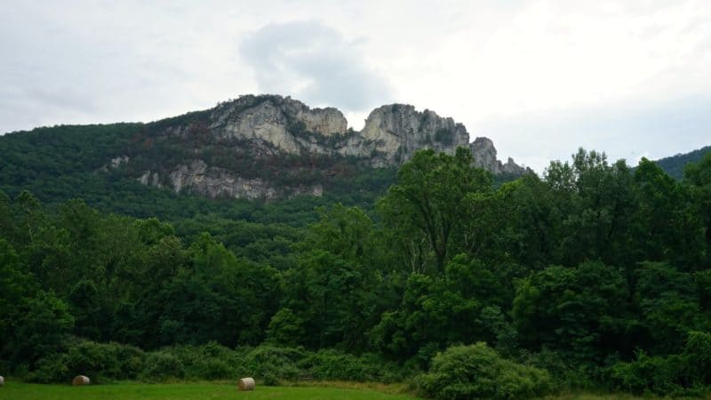 West Virginia's Top Pet Friendly Attraction: The Monongahela National Forest | GoPetFriendly.com