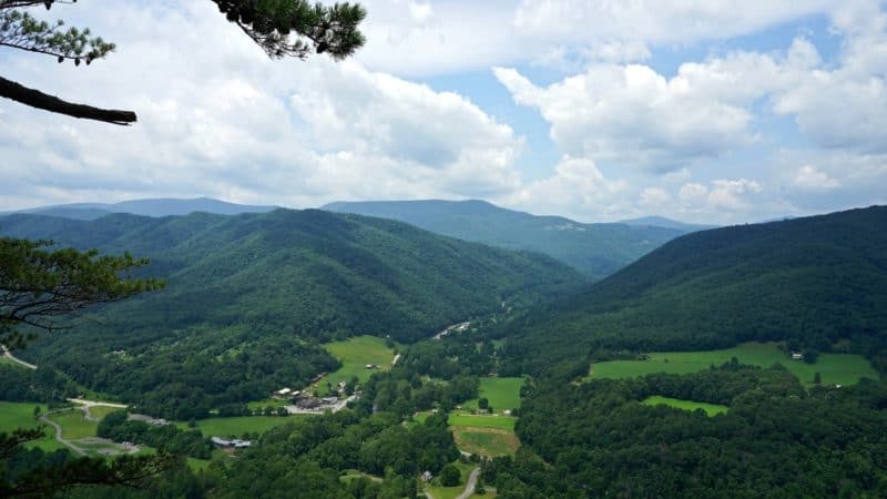 West Virginia's Top Pet Friendly Attraction: The Monongahela National Forest | GoPetFriendly.com