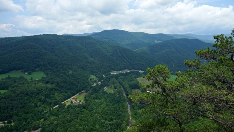 West Virginia's Top Pet Friendly Attraction: The Monongahela National Forest | GoPetFriendly.com