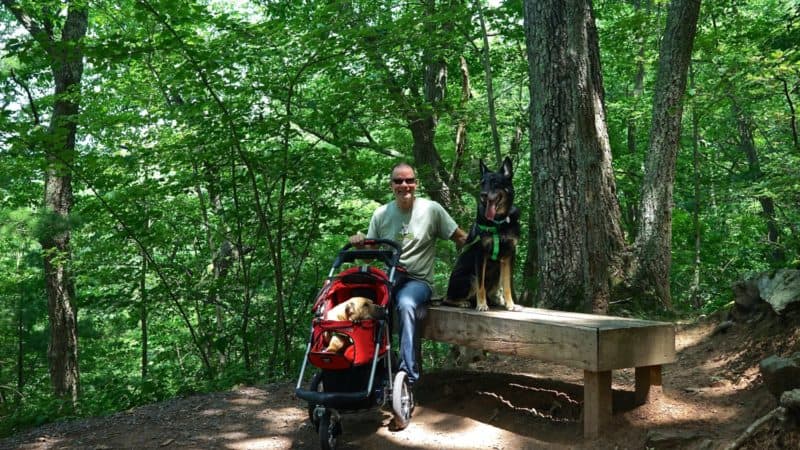 West Virginia's Top Pet Friendly Attraction: The Monongahela National Forest | GoPetFriendly.com