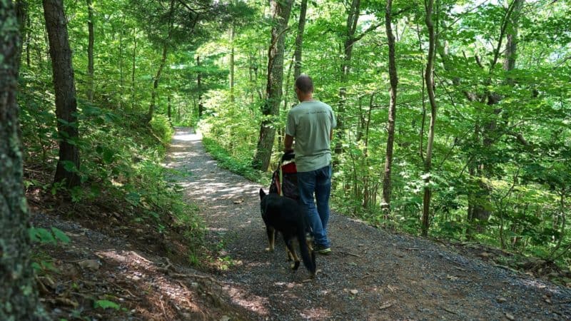 West Virginia's Top Pet Friendly Attraction: The Monongahela National Forest | GoPetFriendly.com