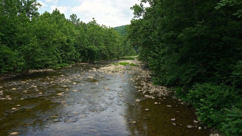 West Virginia's Top Pet Friendly Attraction: The Monongahela National Forest | GoPetFriendly.com