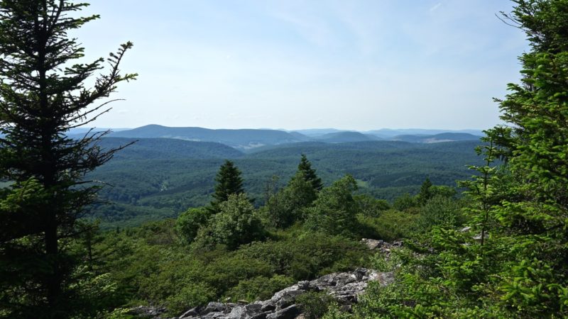 West Virginia's Top Pet Friendly Attraction: The Monongahela National Forest | GoPetFriendly.com