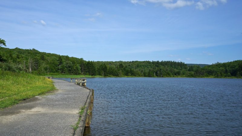 West Virginia's Top Pet Friendly Attraction: The Monongahela National Forest | GoPetFriendly.com