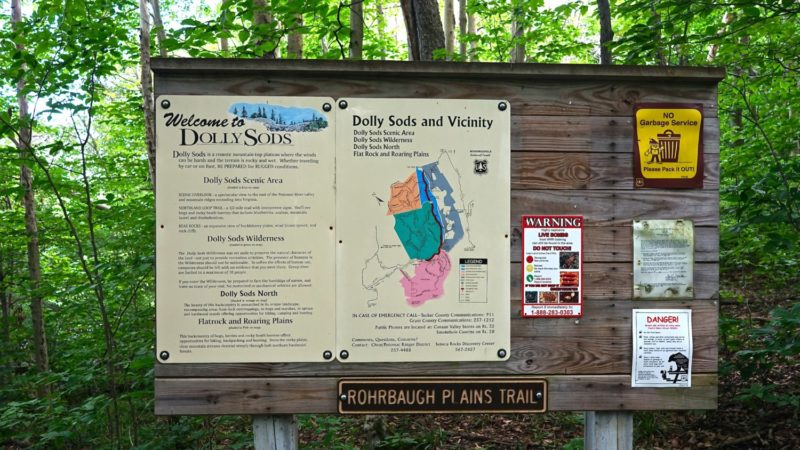 West Virginia's Top Pet Friendly Attraction: The Monongahela National Forest | GoPetFriendly.com